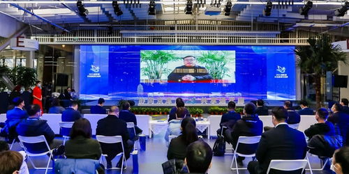 京津冀運河文化旅游城市合作組織 以文化藝術交流為紐帶，共繪協同發展新畫卷