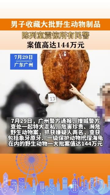 標(biāo)本陳列室暗藏殺機 巨額非法野生動物制品案背后的生態(tài)警鐘